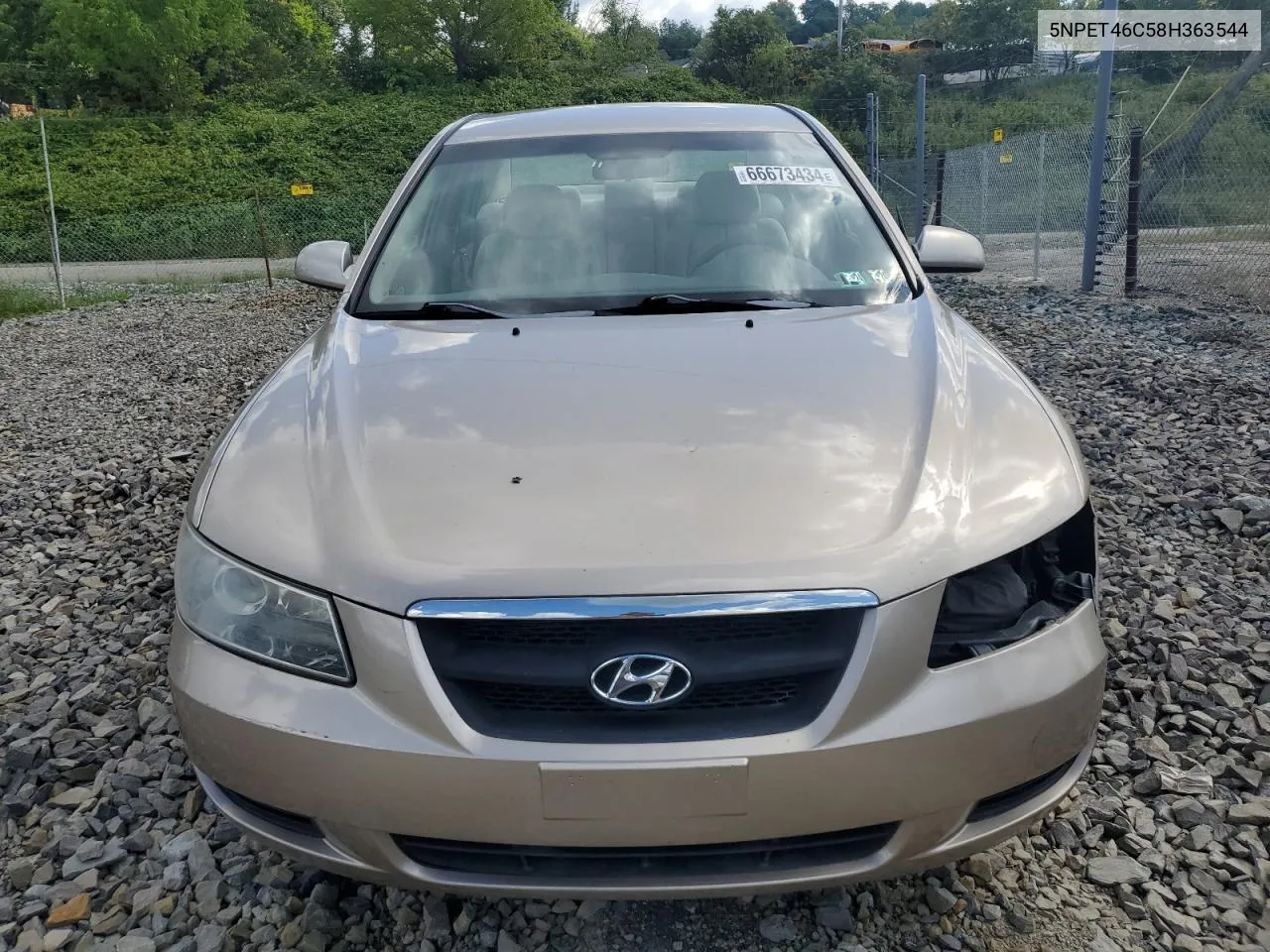 2008 Hyundai Sonata Gls VIN: 5NPET46C58H363544 Lot: 66673434