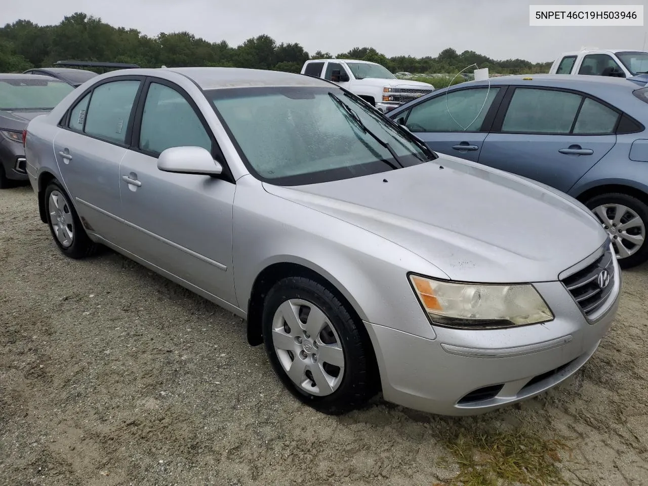 2009 Hyundai Sonata Gls VIN: 5NPET46C19H503946 Lot: 74729674