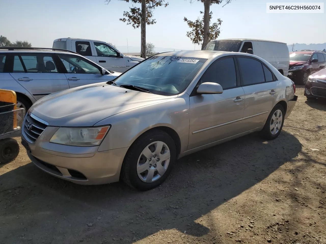 2009 Hyundai Sonata Gls VIN: 5NPET46C29H560074 Lot: 75315354