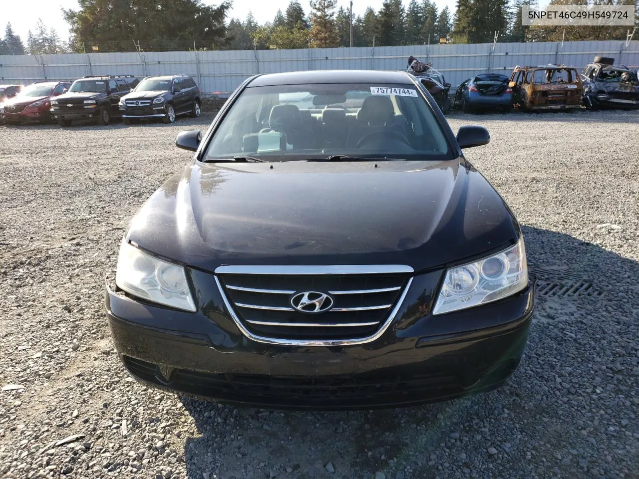 2009 Hyundai Sonata Gls VIN: 5NPET46C49H549724 Lot: 75774744