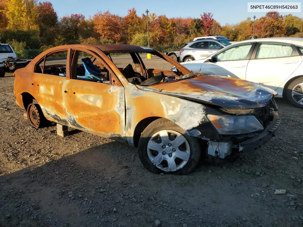 2009 Hyundai Sonata Gls VIN: 5NPET46C89H542663 Lot: 76924874