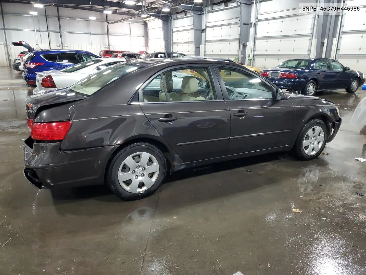 2009 Hyundai Sonata Gls VIN: 5NPET46C79H445986 Lot: 78166714