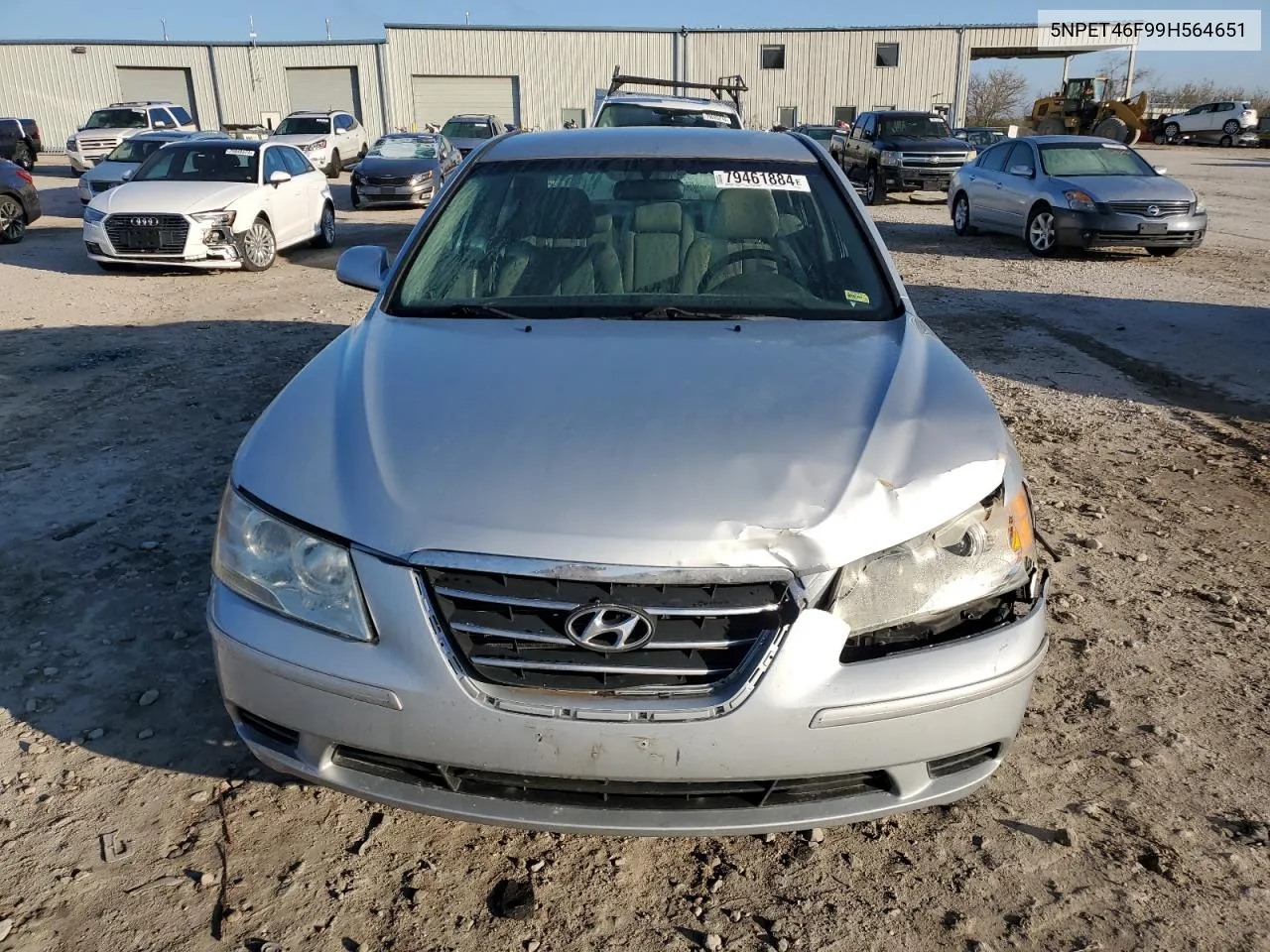 2009 Hyundai Sonata Gls VIN: 5NPET46F99H564651 Lot: 79461884