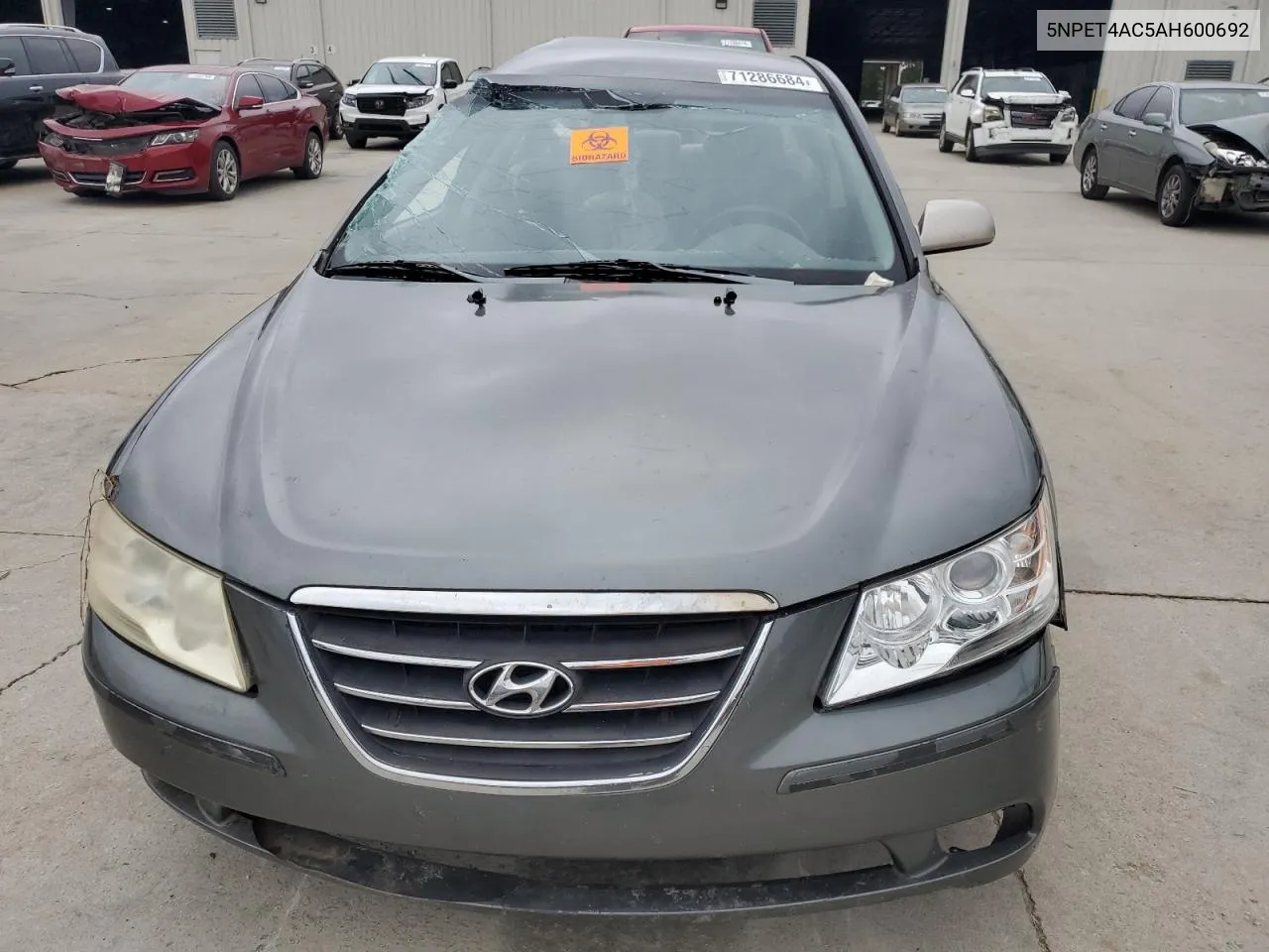 2010 Hyundai Sonata Gls VIN: 5NPET4AC5AH600692 Lot: 71286684