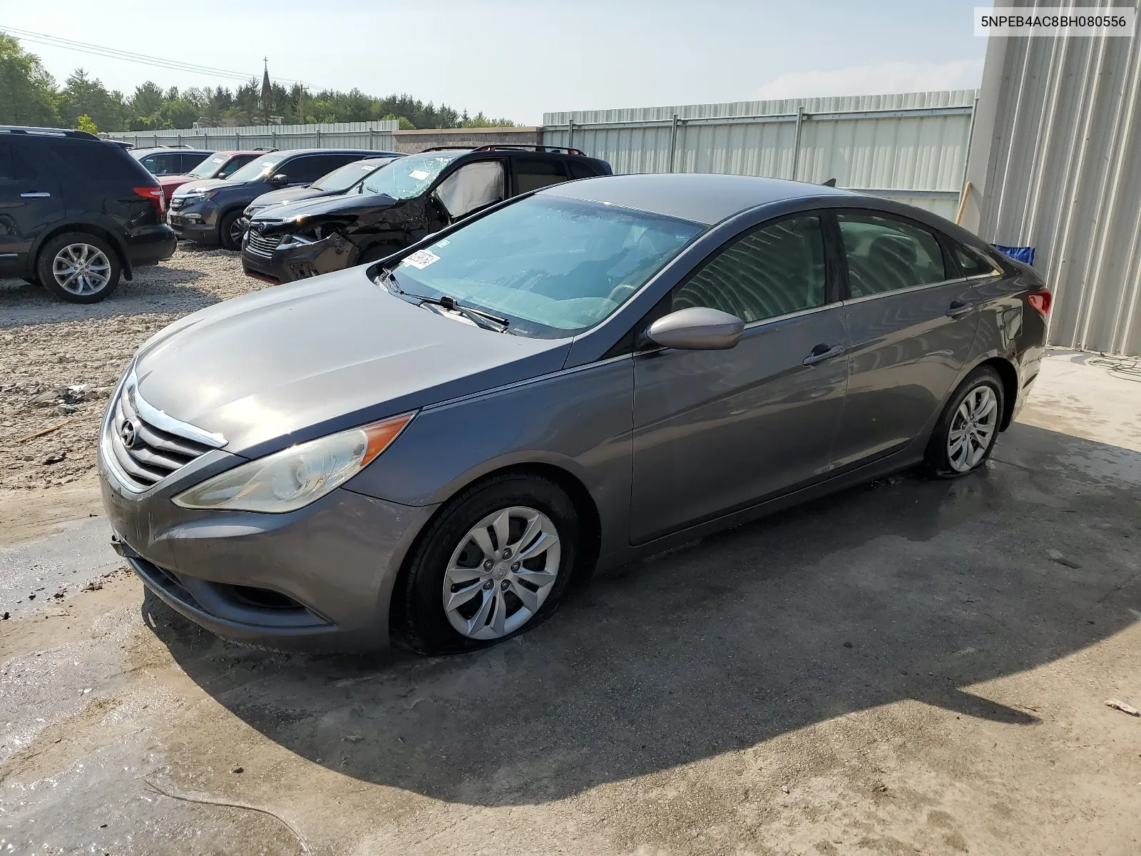 2011 Hyundai Sonata Gls VIN: 5NPEB4AC8BH080556 Lot: 62098764