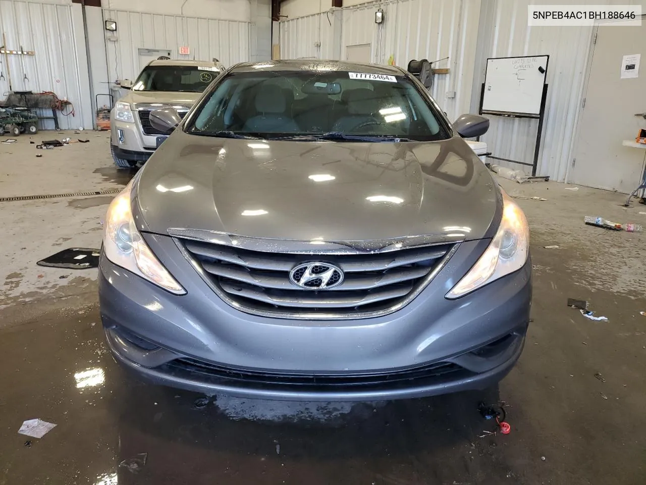 2011 Hyundai Sonata Gls VIN: 5NPEB4AC1BH188646 Lot: 77773464