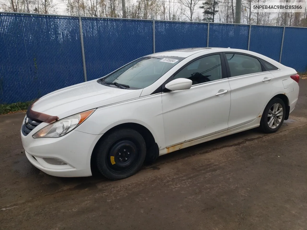 2011 Hyundai Sonata Gls VIN: 5NPEB4AC9BH285366 Lot: 78785684