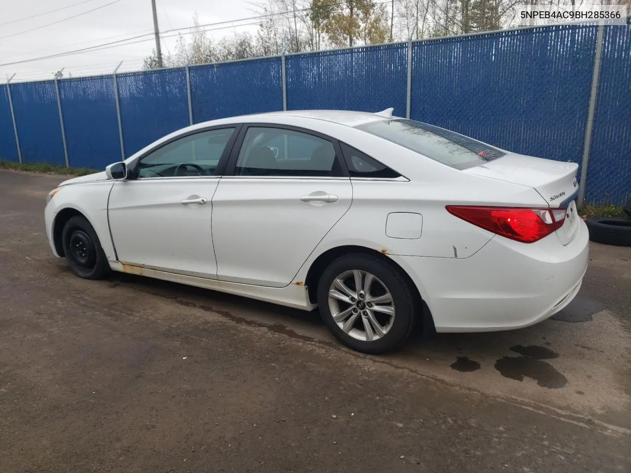 2011 Hyundai Sonata Gls VIN: 5NPEB4AC9BH285366 Lot: 78785684