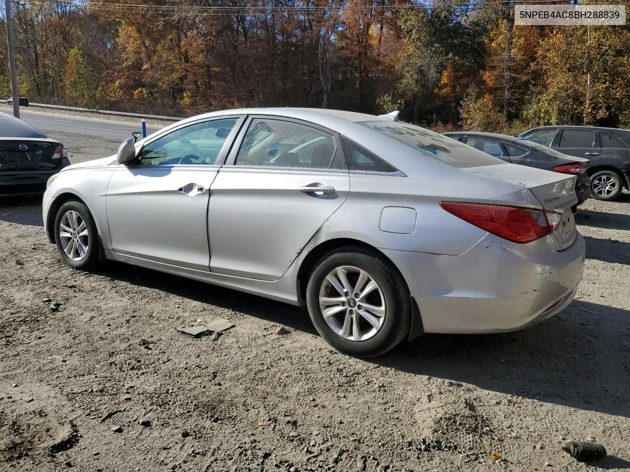 2011 Hyundai Sonata Gls VIN: 5NPEB4AC8BH288839 Lot: 78854754