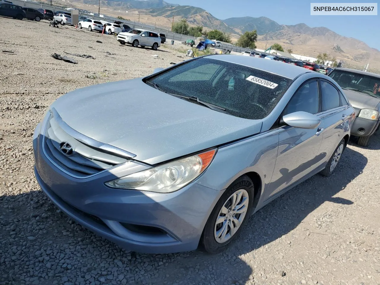 2012 Hyundai Sonata Gls VIN: 5NPEB4AC6CH315067 Lot: 65852004