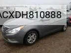 2013 Hyundai Sonata Gls VIN: 5NPEB4ACXDH810888 Lot: 52804144