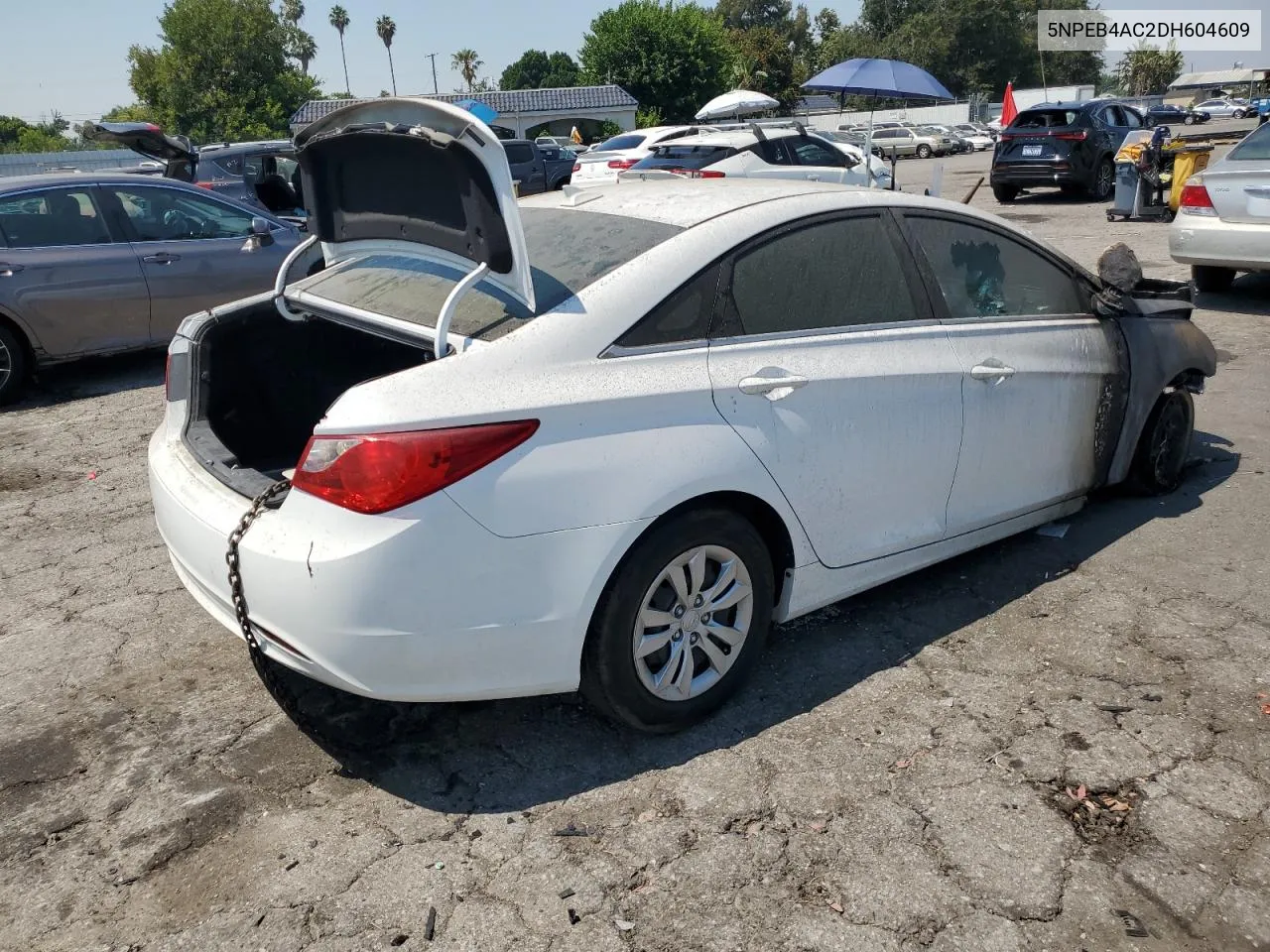 2013 Hyundai Sonata Gls VIN: 5NPEB4AC2DH604609 Lot: 62063894