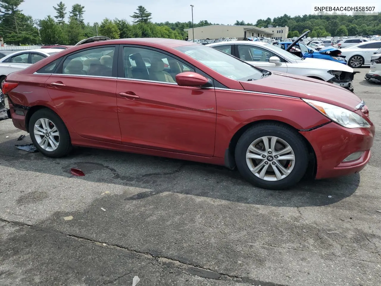 2013 Hyundai Sonata Gls VIN: 5NPEB4AC4DH558507 Lot: 63796704