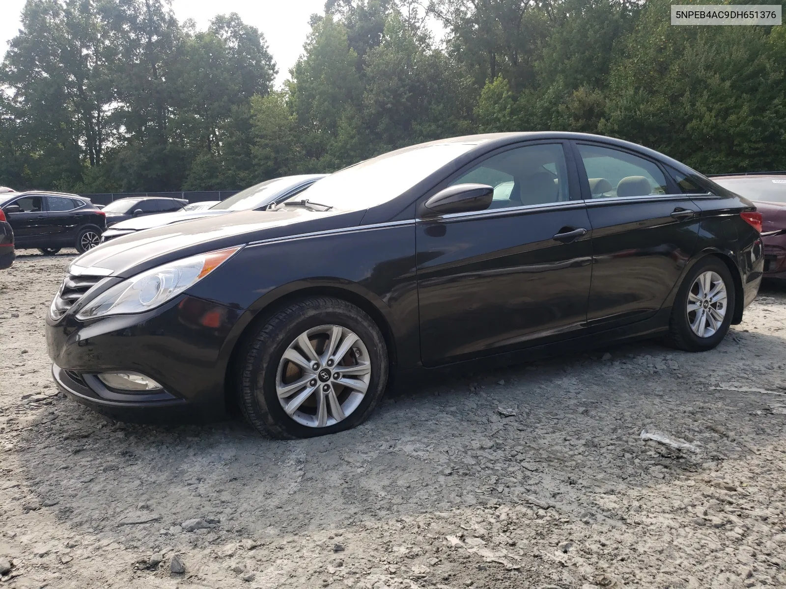 2013 Hyundai Sonata Gls VIN: 5NPEB4AC9DH651376 Lot: 64996104