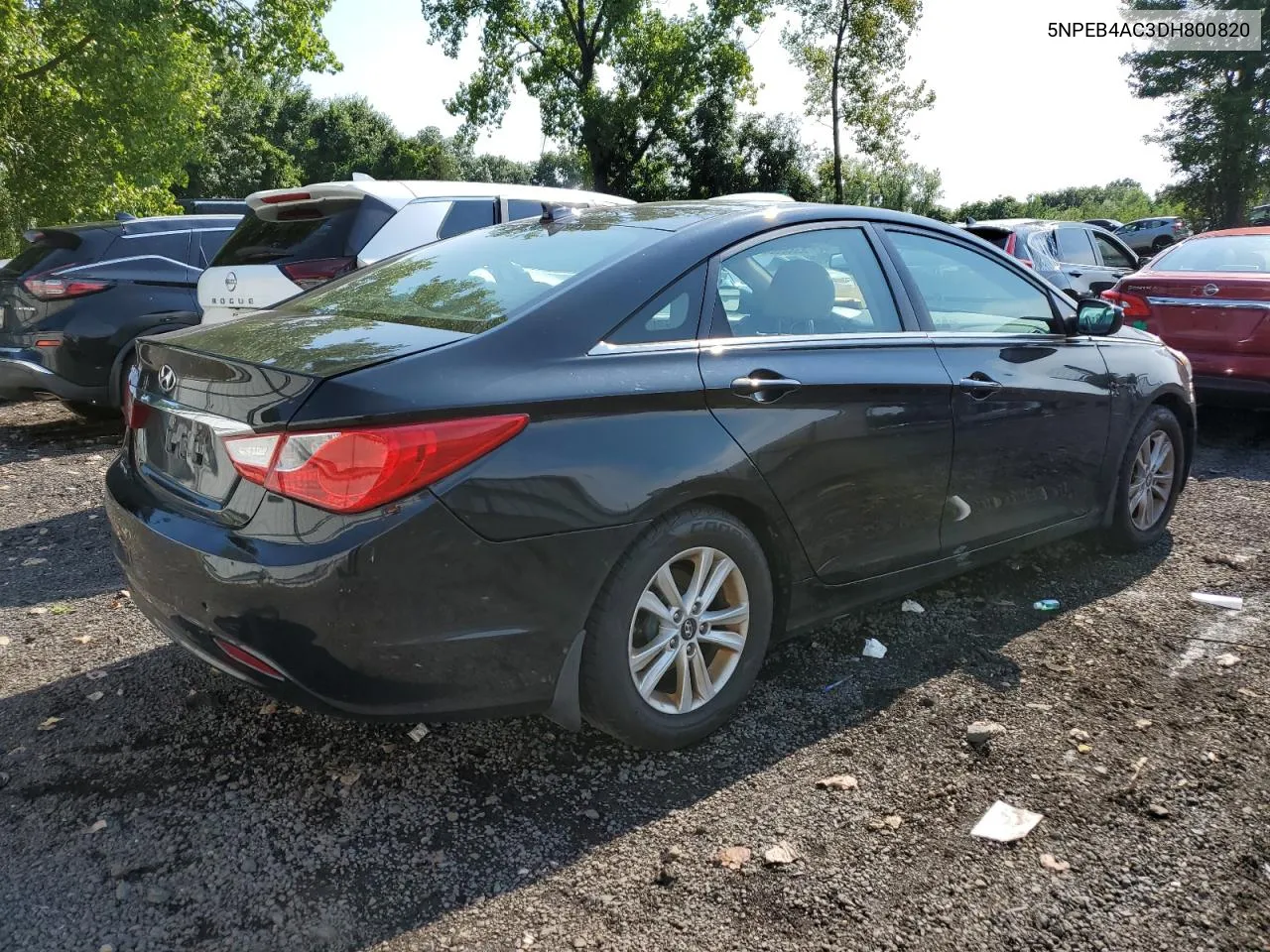 2013 Hyundai Sonata Gls VIN: 5NPEB4AC3DH800820 Lot: 65888934