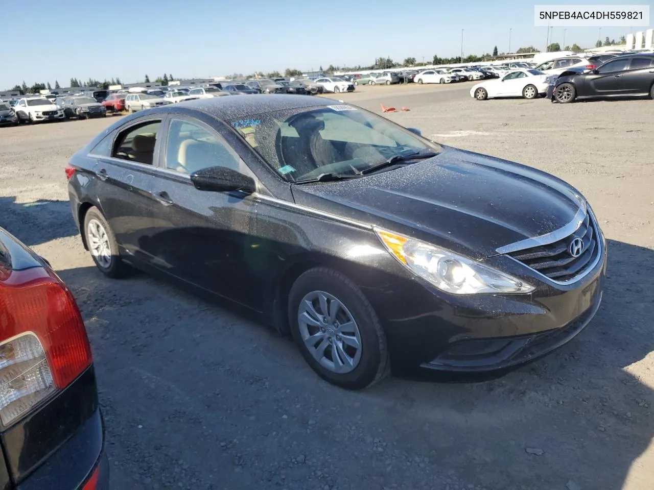 2013 Hyundai Sonata Gls VIN: 5NPEB4AC4DH559821 Lot: 68386954