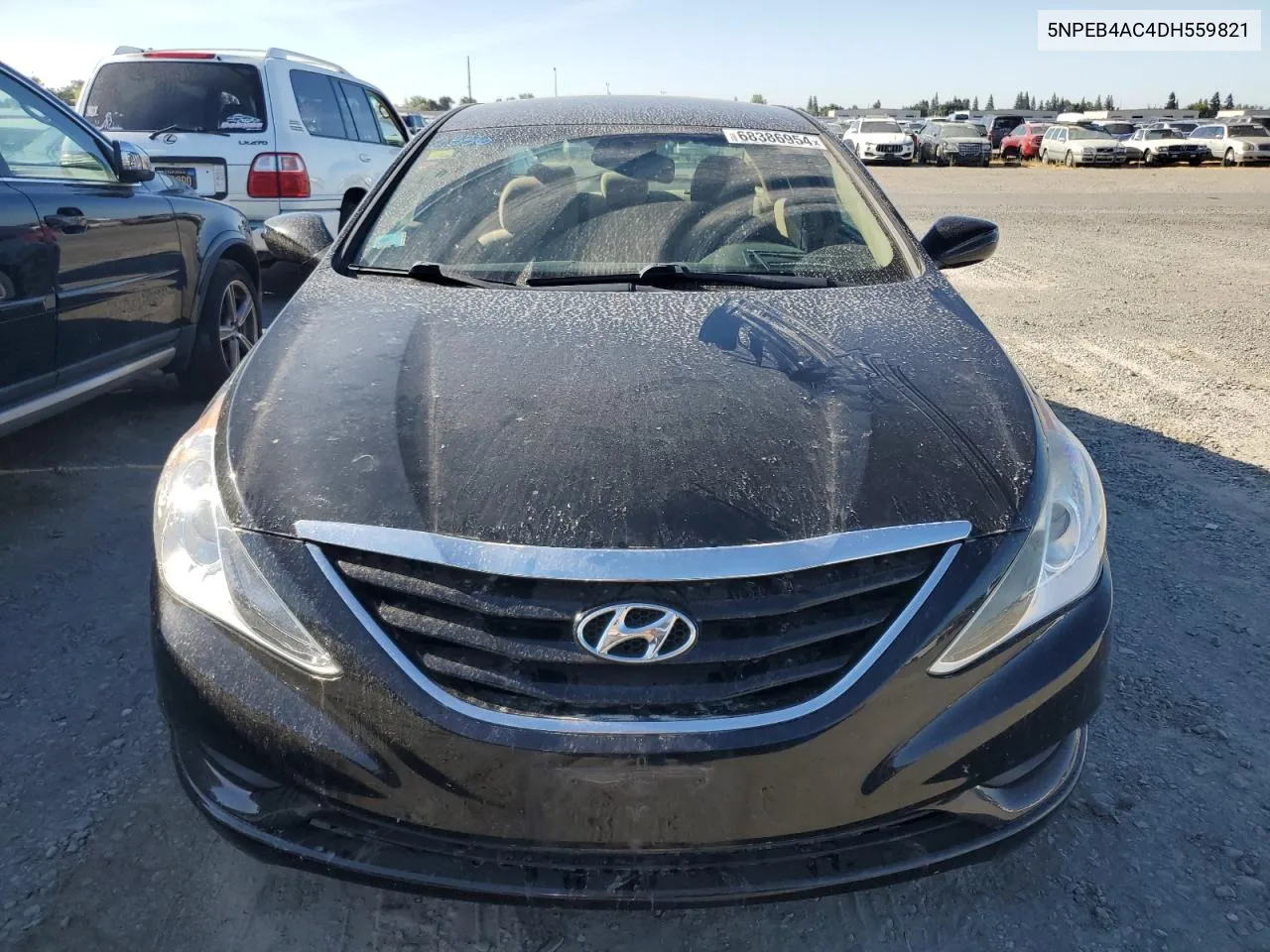 5NPEB4AC4DH559821 2013 Hyundai Sonata Gls