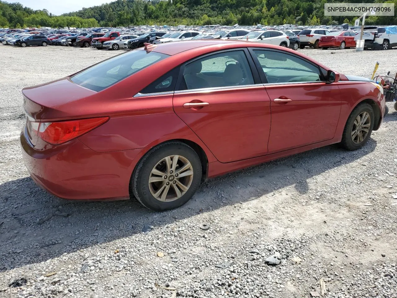 2013 Hyundai Sonata Gls VIN: 5NPEB4AC9DH709096 Lot: 69334224