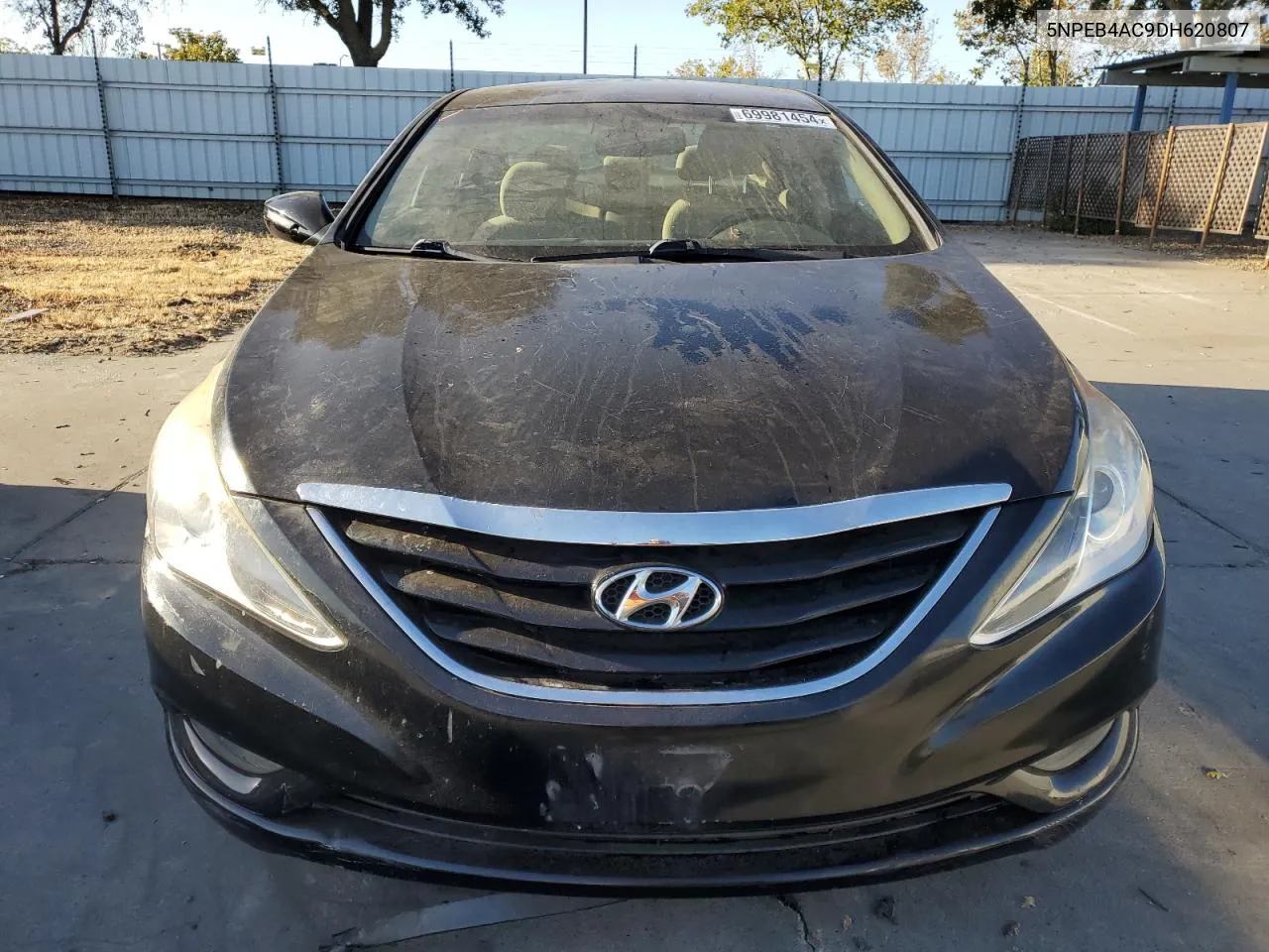 2013 Hyundai Sonata Gls VIN: 5NPEB4AC9DH620807 Lot: 69981454