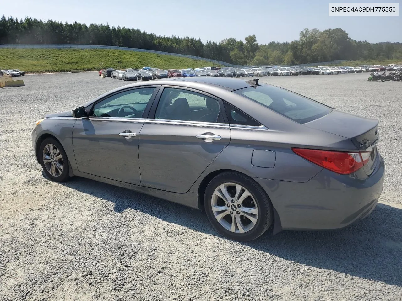 2013 Hyundai Sonata Se VIN: 5NPEC4AC9DH775550 Lot: 71048944