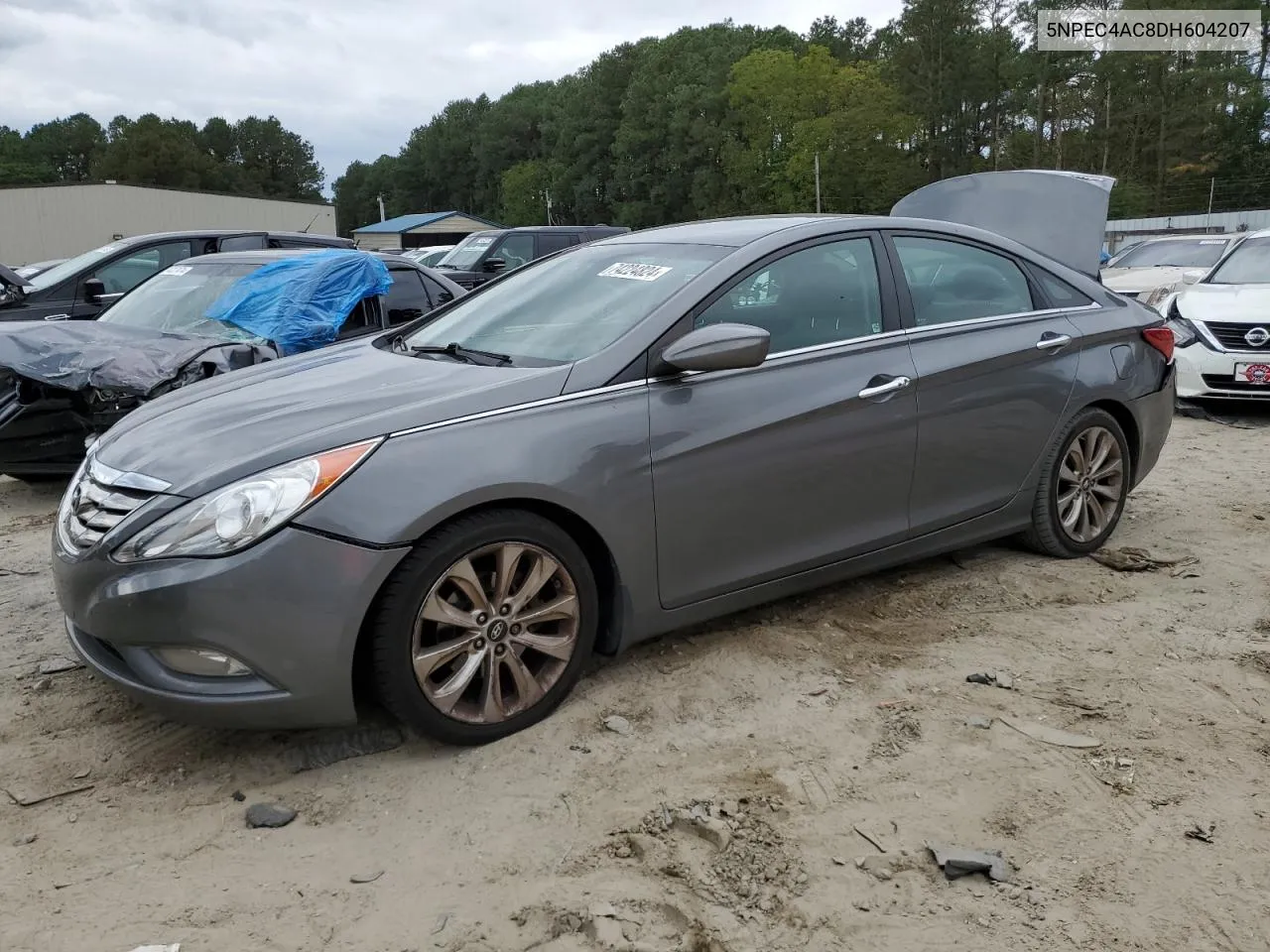 2013 Hyundai Sonata Se VIN: 5NPEC4AC8DH604207 Lot: 74224824