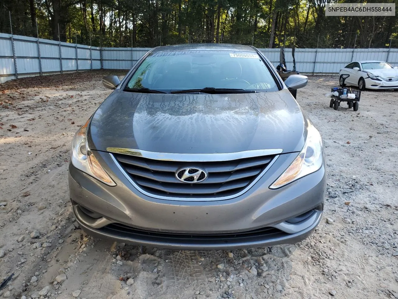 2013 Hyundai Sonata Gls VIN: 5NPEB4AC6DH558444 Lot: 75006654