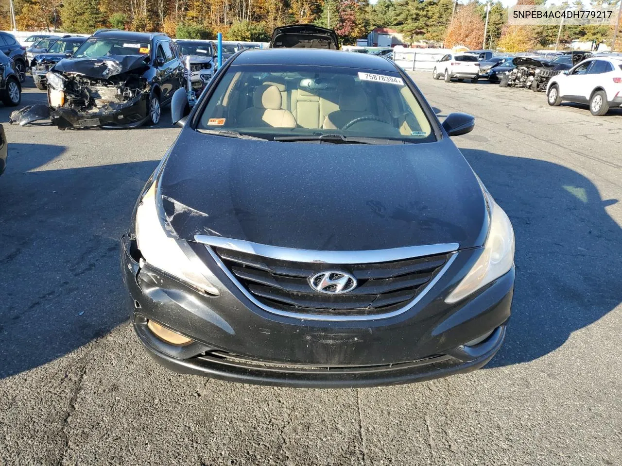 2013 Hyundai Sonata Gls VIN: 5NPEB4AC4DH779217 Lot: 75878394