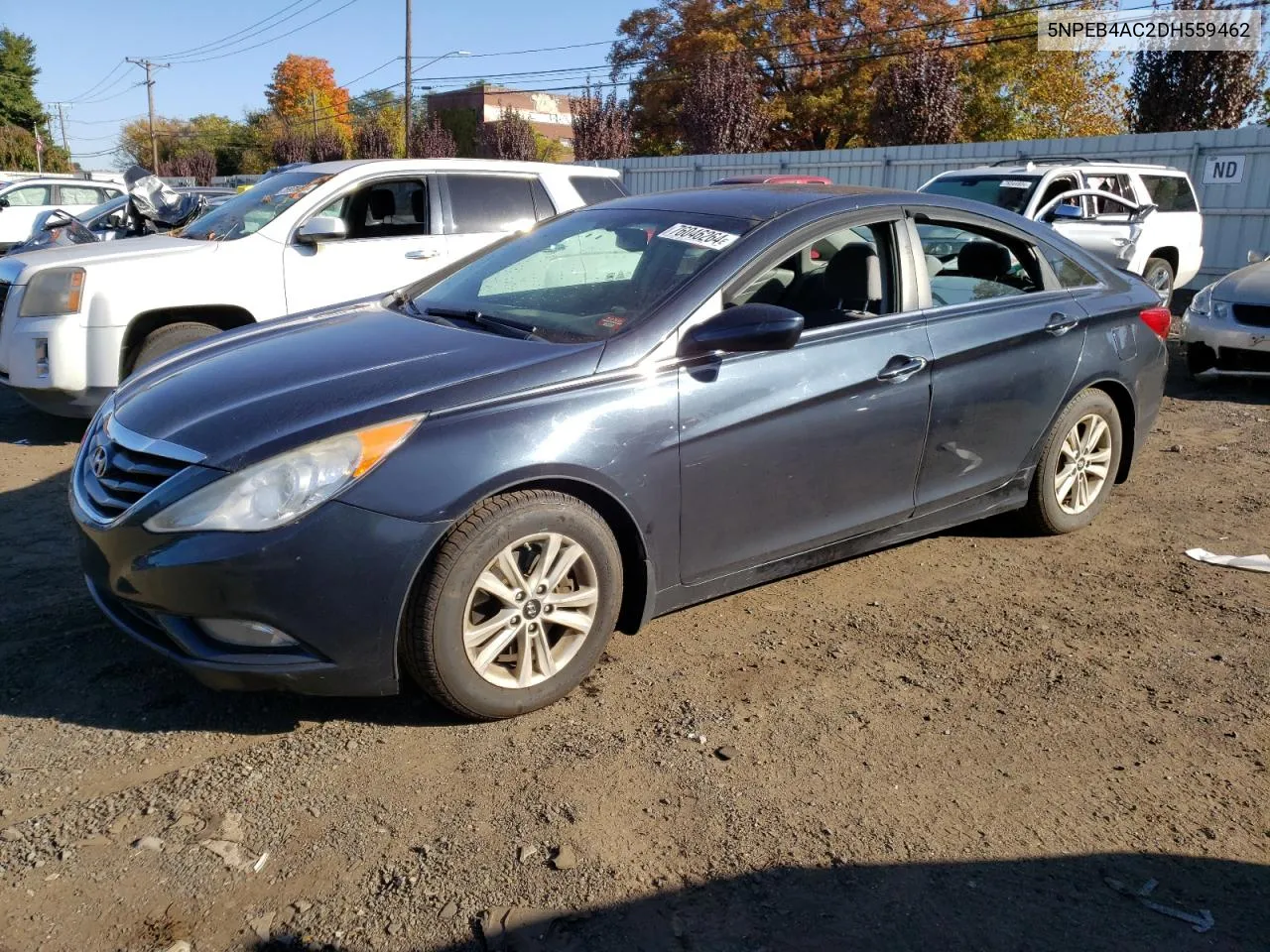 2013 Hyundai Sonata Gls VIN: 5NPEB4AC2DH559462 Lot: 76046264