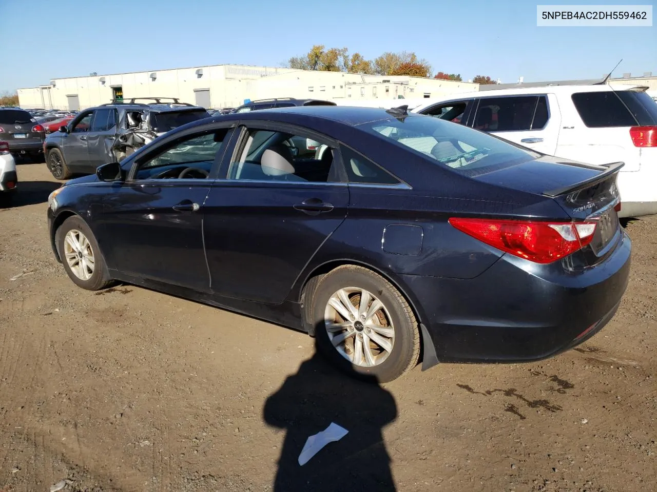 2013 Hyundai Sonata Gls VIN: 5NPEB4AC2DH559462 Lot: 76046264