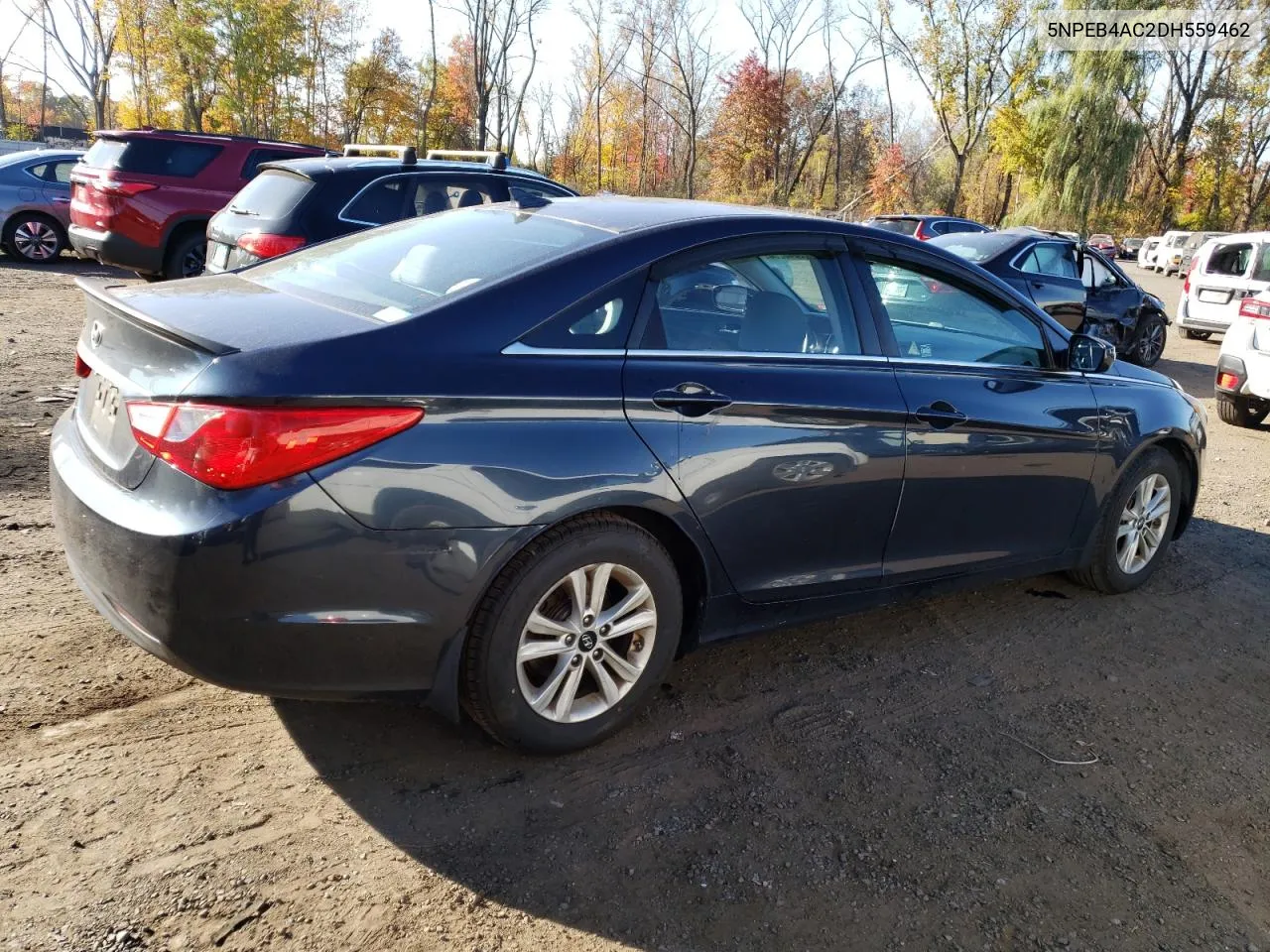 5NPEB4AC2DH559462 2013 Hyundai Sonata Gls