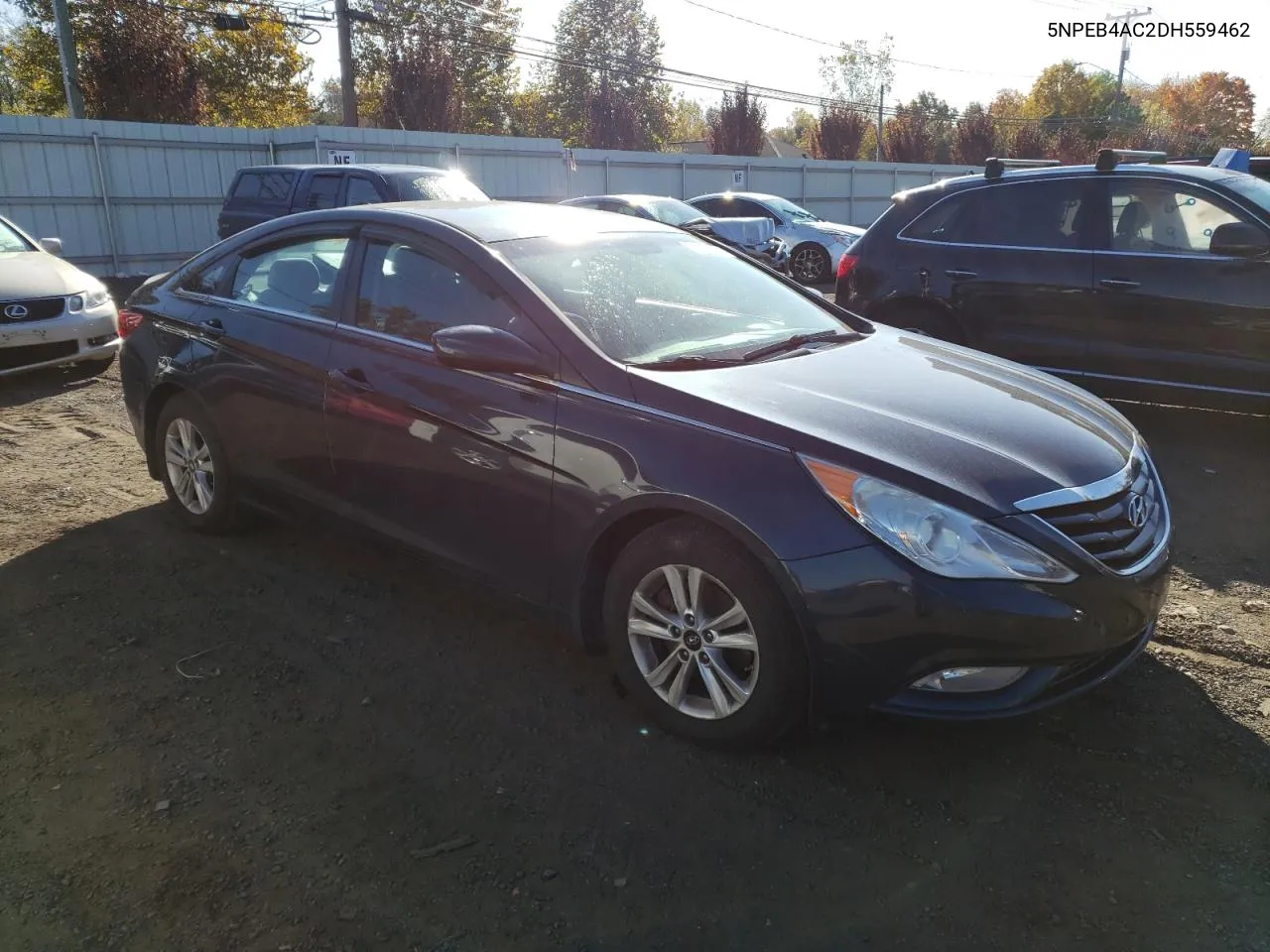 2013 Hyundai Sonata Gls VIN: 5NPEB4AC2DH559462 Lot: 76046264