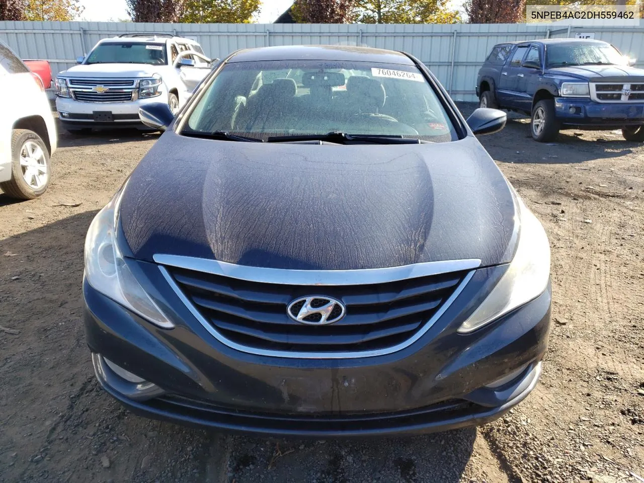 5NPEB4AC2DH559462 2013 Hyundai Sonata Gls