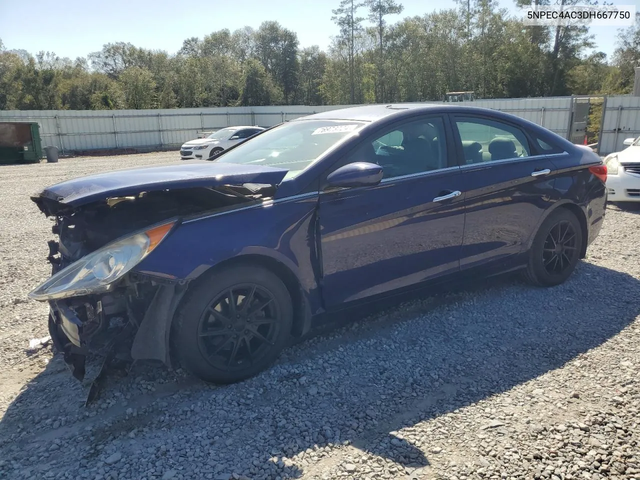 2013 Hyundai Sonata Se VIN: 5NPEC4AC3DH667750 Lot: 76973724