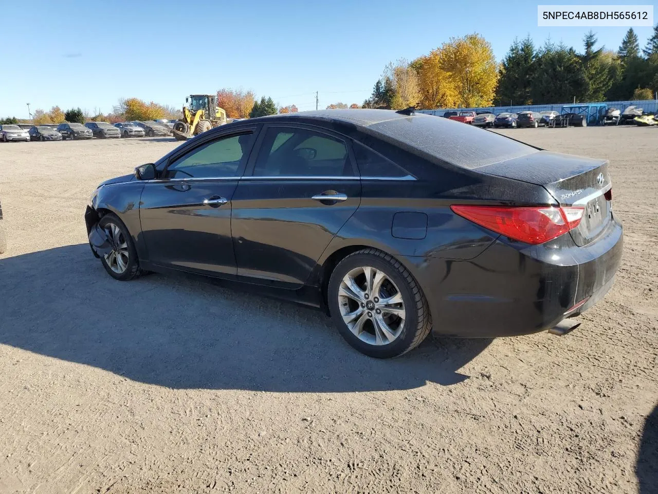 2013 Hyundai Sonata Se VIN: 5NPEC4AB8DH565612 Lot: 77989214