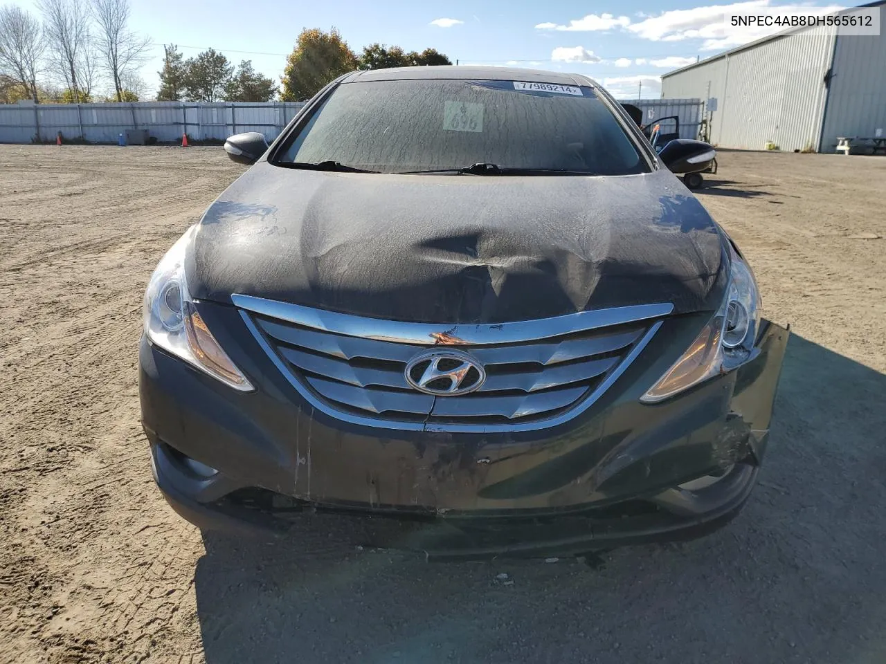 2013 Hyundai Sonata Se VIN: 5NPEC4AB8DH565612 Lot: 77989214