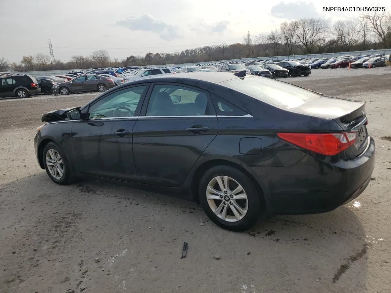 2013 Hyundai Sonata Gls VIN: 5NPEB4AC1DH560375 Lot: 78395854