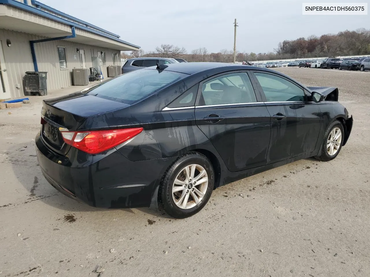 2013 Hyundai Sonata Gls VIN: 5NPEB4AC1DH560375 Lot: 78395854