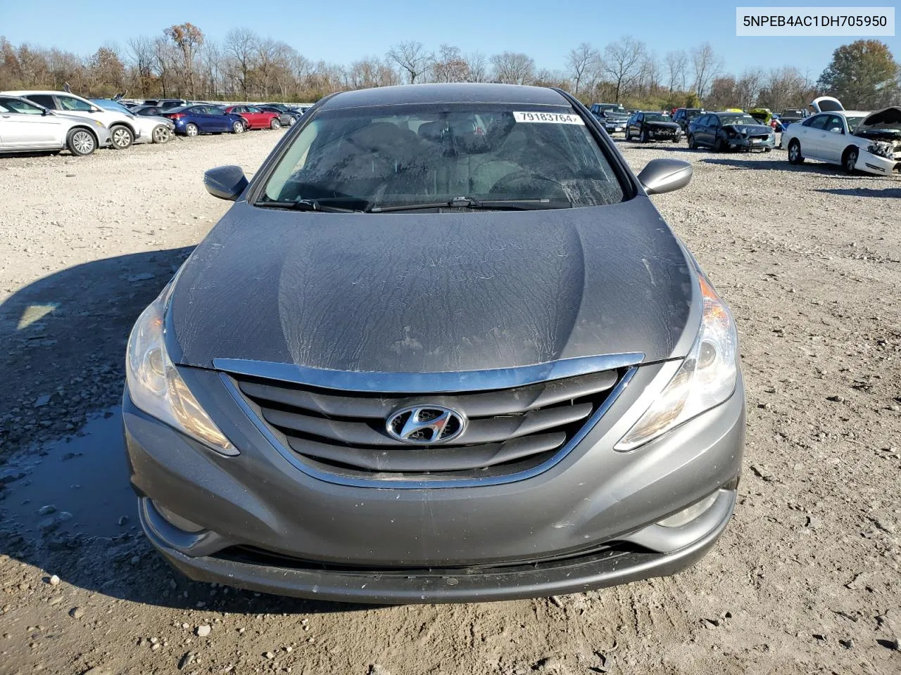 2013 Hyundai Sonata Gls VIN: 5NPEB4AC1DH705950 Lot: 79183764