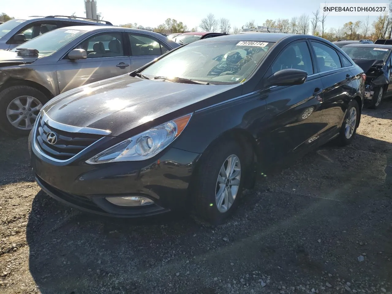 2013 Hyundai Sonata Gls VIN: 5NPEB4AC1DH606237 Lot: 79706774