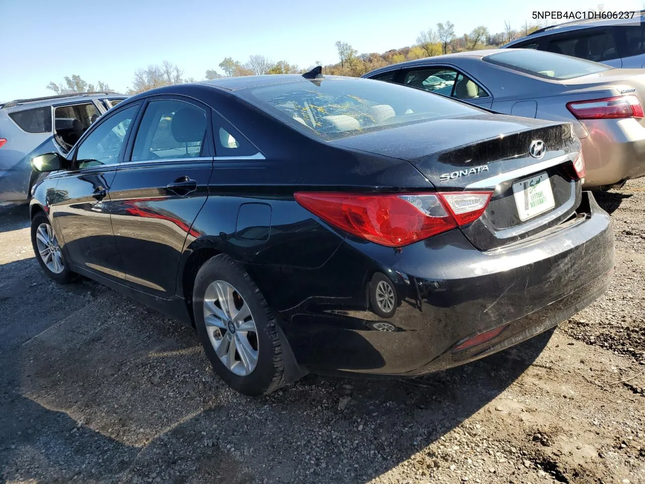 2013 Hyundai Sonata Gls VIN: 5NPEB4AC1DH606237 Lot: 79706774