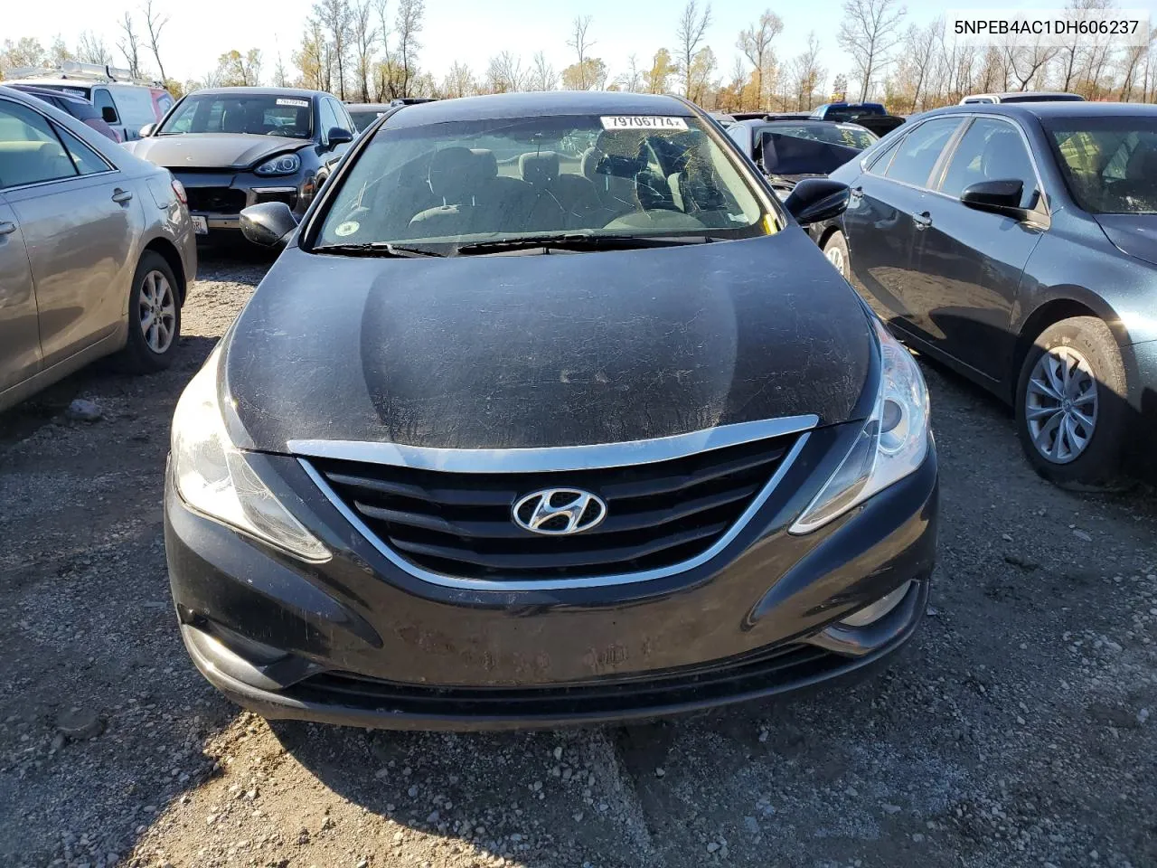 2013 Hyundai Sonata Gls VIN: 5NPEB4AC1DH606237 Lot: 79706774