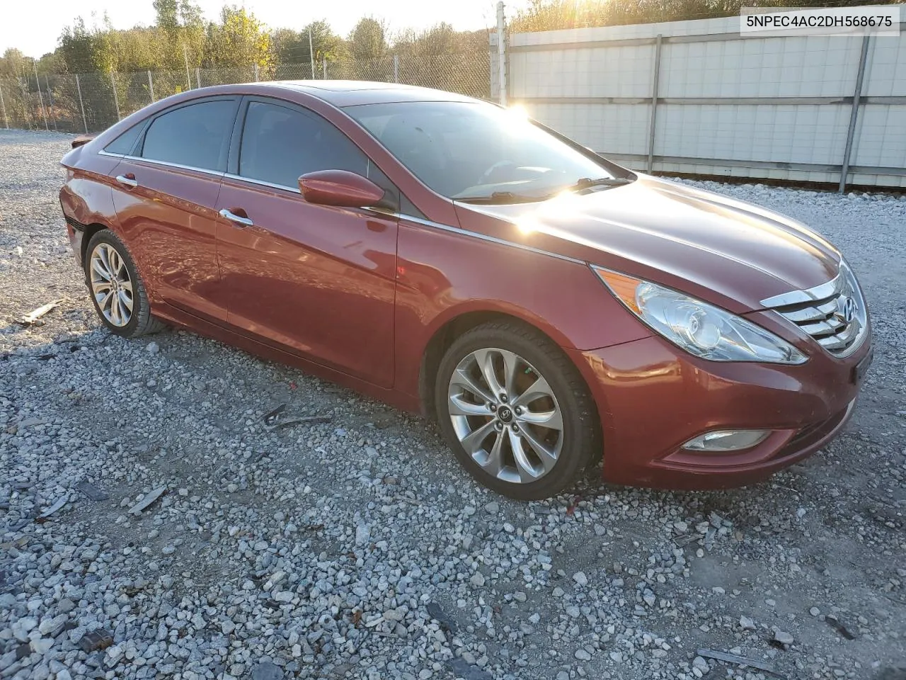 2013 Hyundai Sonata Se VIN: 5NPEC4AC2DH568675 Lot: 81180814