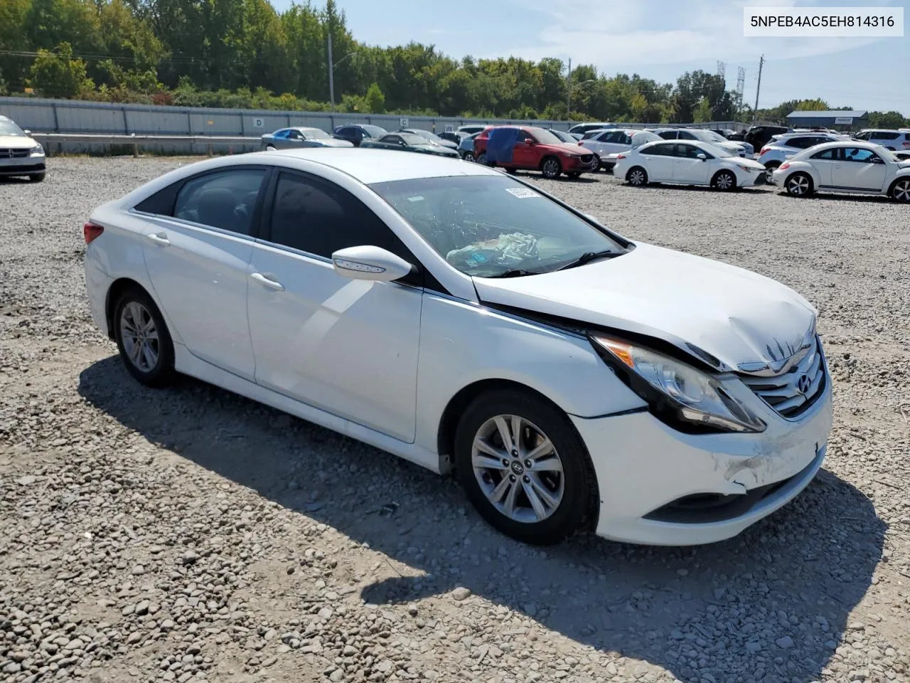 5NPEB4AC5EH814316 2014 Hyundai Sonata Gls