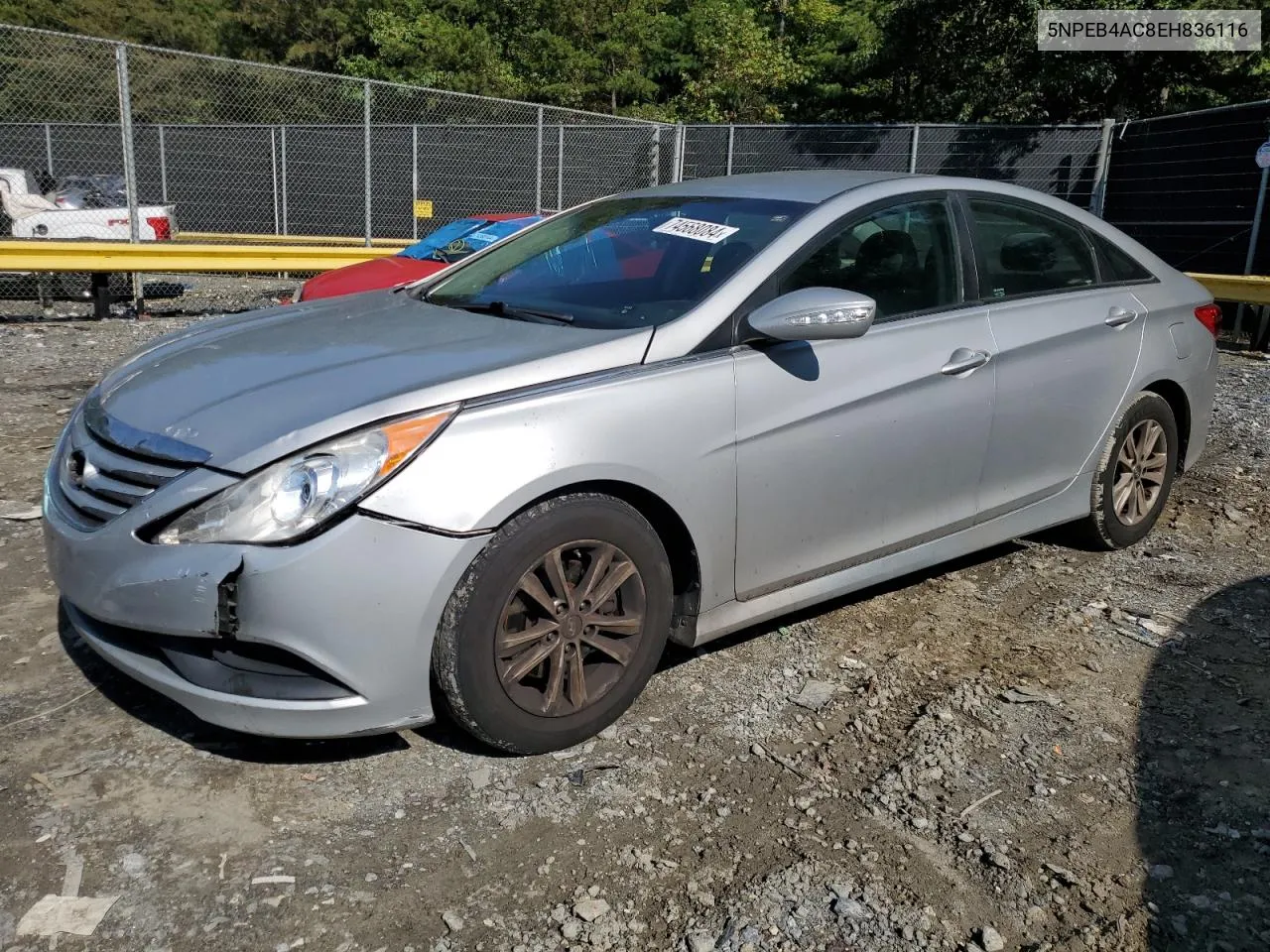 5NPEB4AC8EH836116 2014 Hyundai Sonata Gls