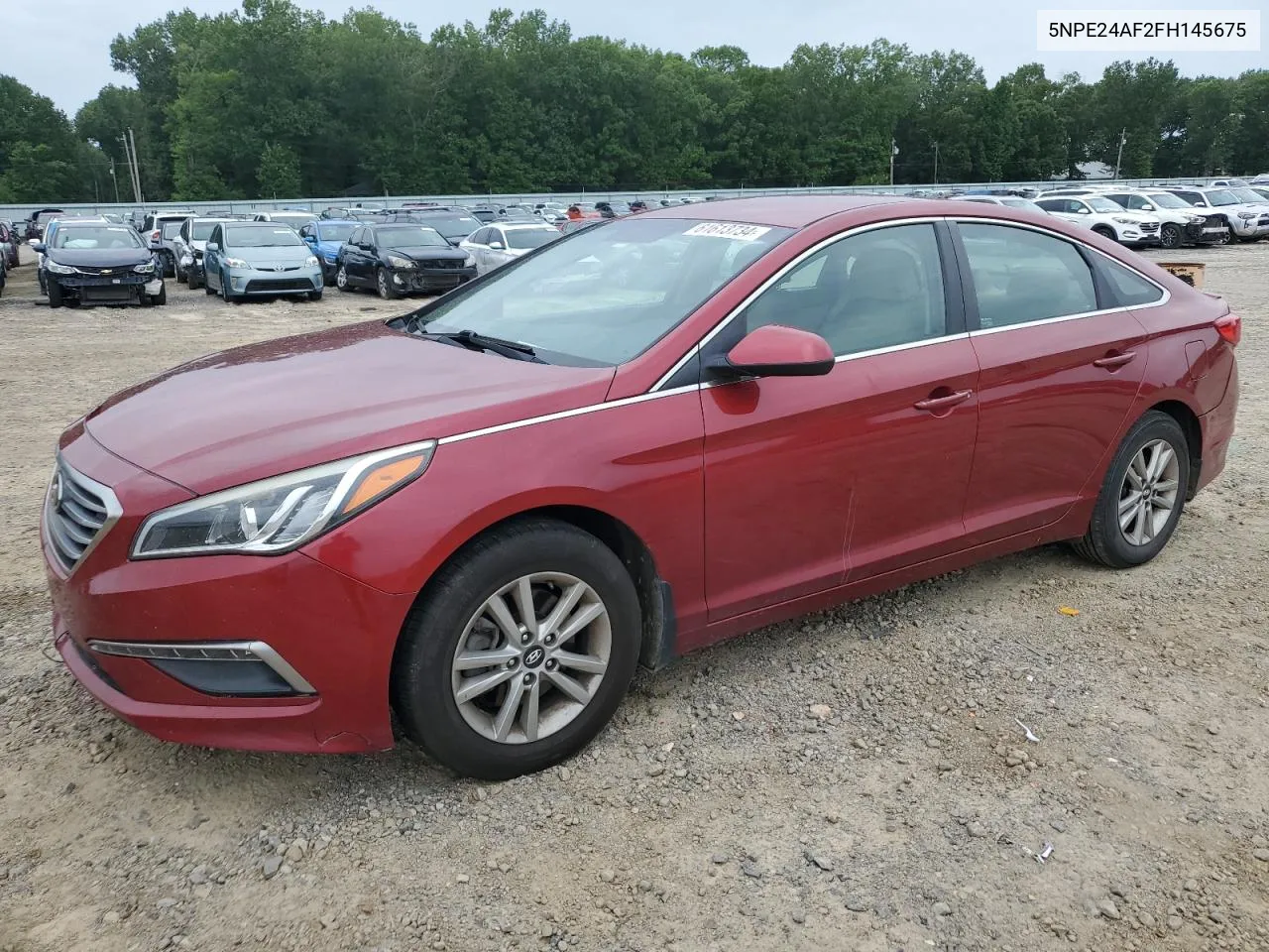 2015 Hyundai Sonata Se VIN: 5NPE24AF2FH145675 Lot: 61613734