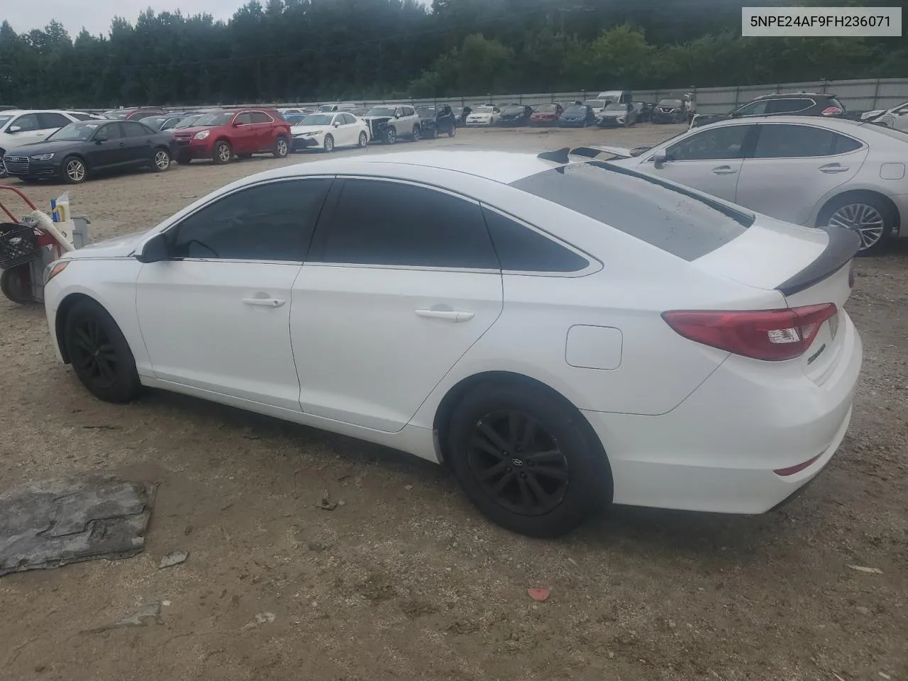 2015 Hyundai Sonata Se VIN: 5NPE24AF9FH236071 Lot: 64610084