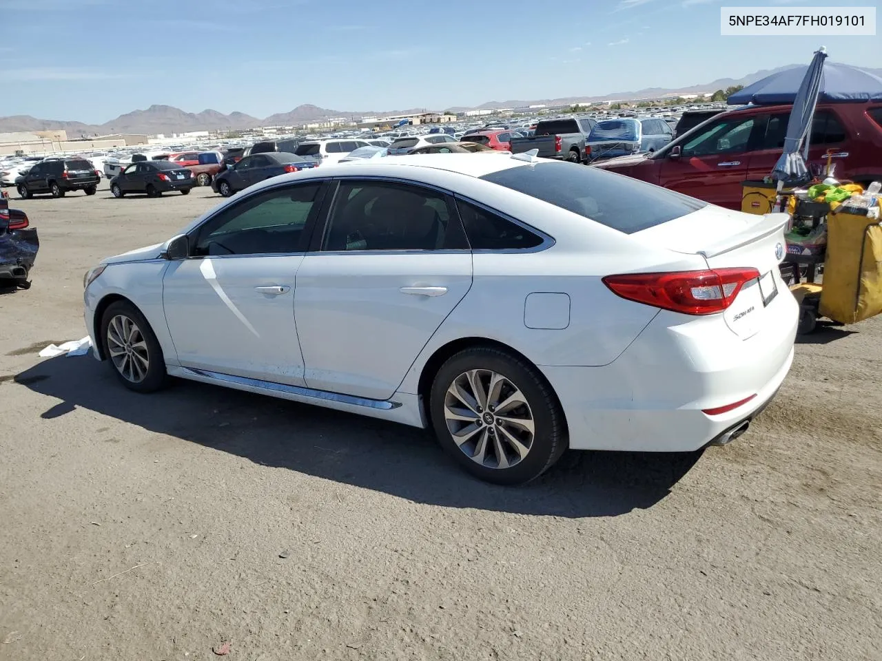 2015 Hyundai Sonata Sport VIN: 5NPE34AF7FH019101 Lot: 75023144