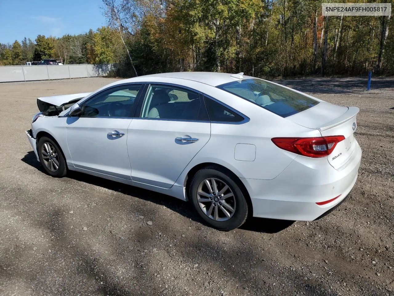 2015 Hyundai Sonata Se VIN: 5NPE24AF9FH005817 Lot: 76084964