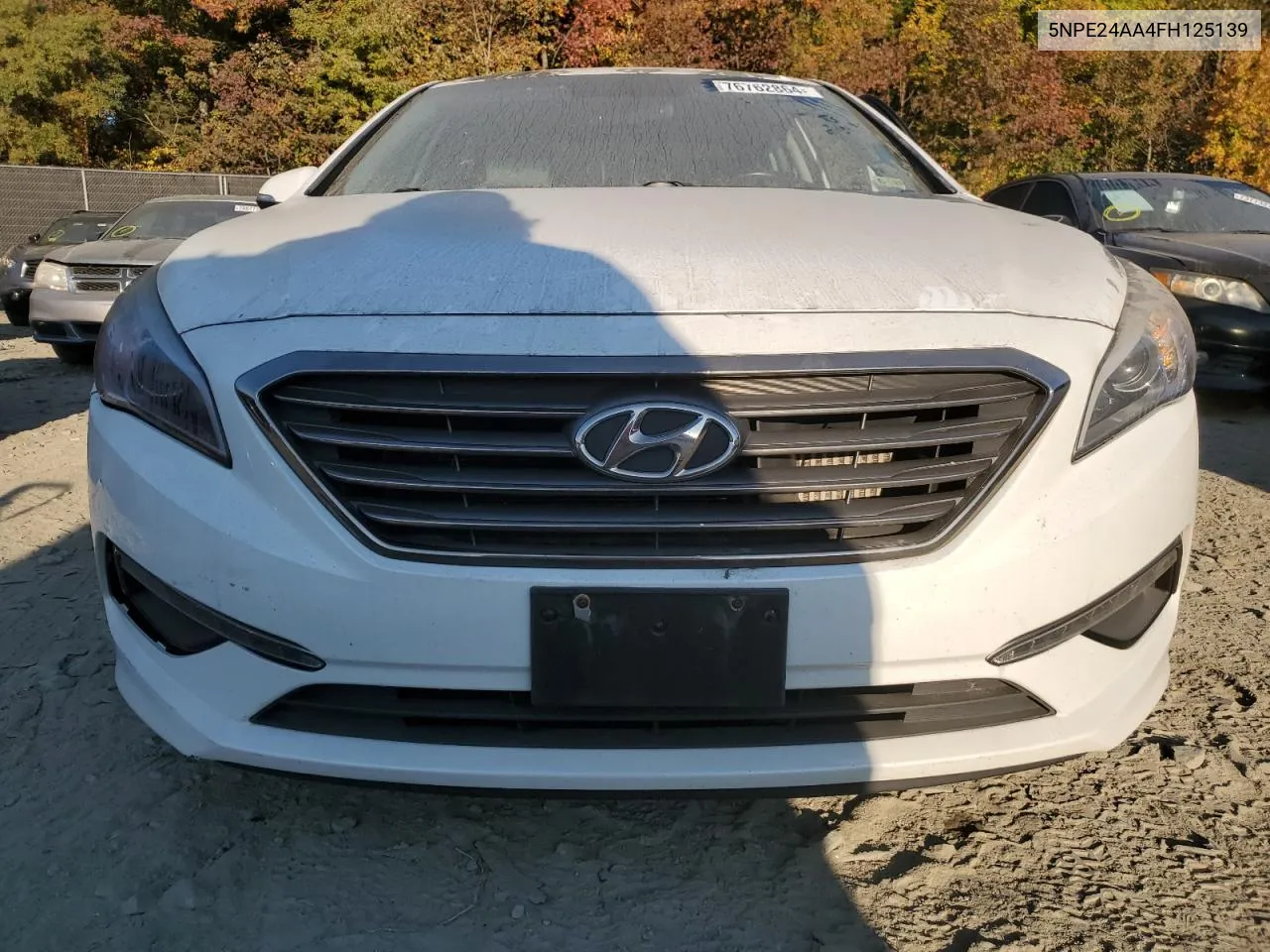 2015 Hyundai Sonata Eco VIN: 5NPE24AA4FH125139 Lot: 76762864