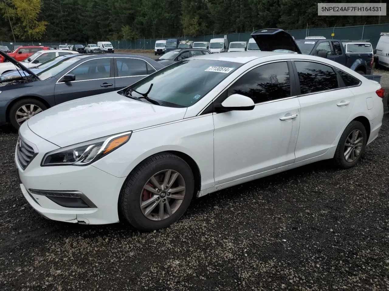 5NPE24AF7FH164531 2015 Hyundai Sonata Se